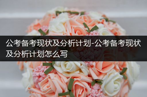 公考备考现状及分析计划-公考备考现状及分析计划怎么写