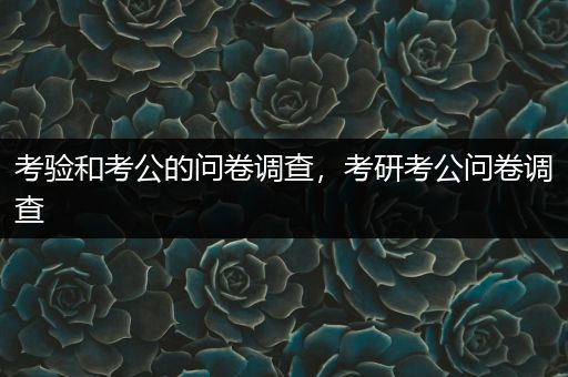 考验和考公的问卷调查，考研考公问卷调查