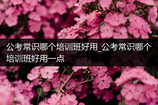 公考常识哪个培训班好用_公考常识哪个培训班好用一点
