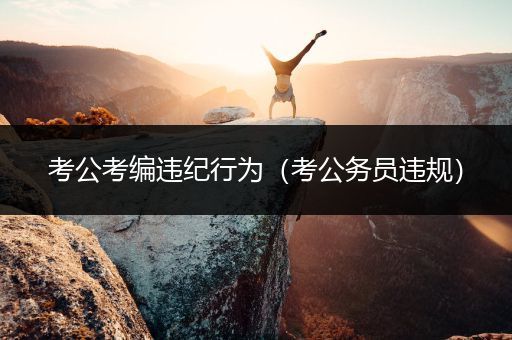 考公考编违纪行为（考公务员违规）