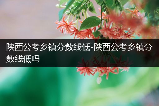 陕西公考乡镇分数线低-陕西公考乡镇分数线低吗