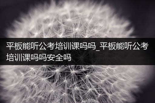 平板能听公考培训课吗吗_平板能听公考培训课吗吗安全吗