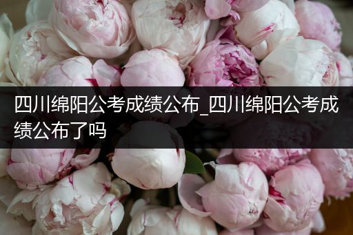 四川绵阳公考成绩公布_四川绵阳公考成绩公布了吗