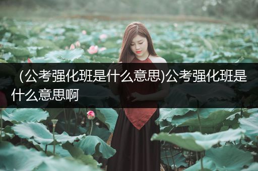（公考强化班是什么意思)公考强化班是什么意思啊
