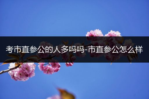 考市直参公的人多吗吗-市直参公怎么样