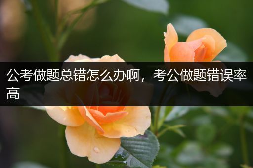 公考做题总错怎么办啊，考公做题错误率高