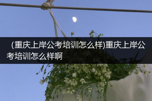 （重庆上岸公考培训怎么样)重庆上岸公考培训怎么样啊