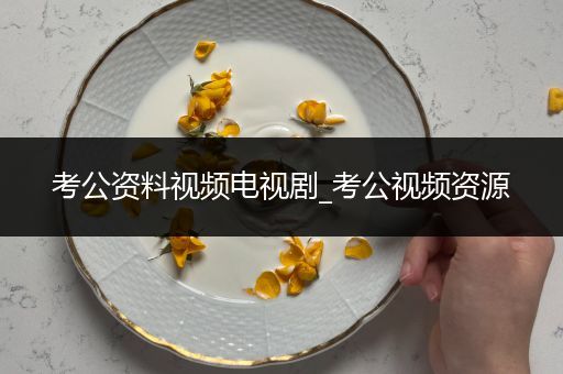 考公资料视频电视剧_考公视频资源
