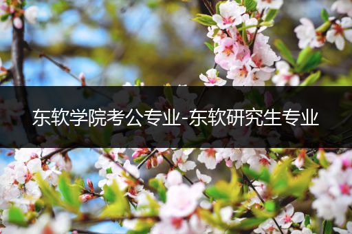 东软学院考公专业-东软研究生专业