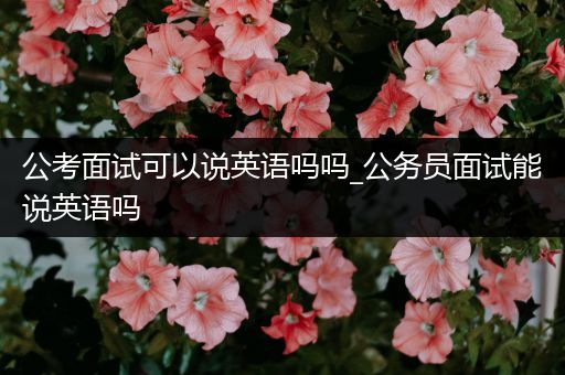公考面试可以说英语吗吗_公务员面试能说英语吗