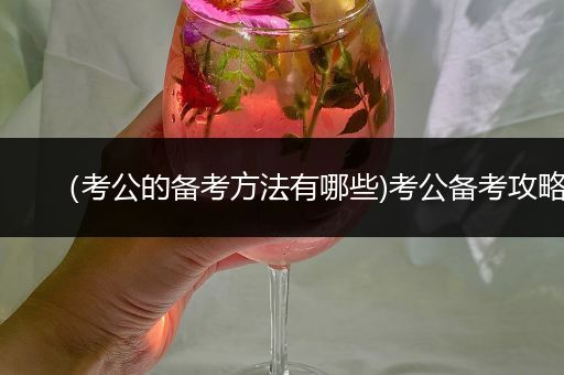 （考公的备考方法有哪些)考公备考攻略