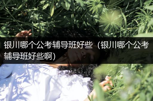 银川哪个公考辅导班好些（银川哪个公考辅导班好些啊）