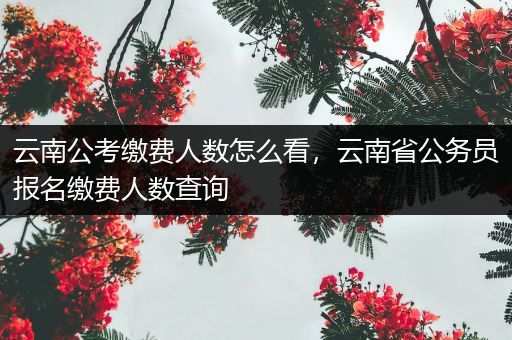 云南公考缴费人数怎么看，云南省公务员报名缴费人数查询