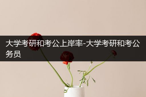 大学考研和考公上岸率-大学考研和考公务员