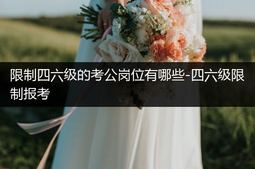 限制四六级的考公岗位有哪些-四六级限制报考