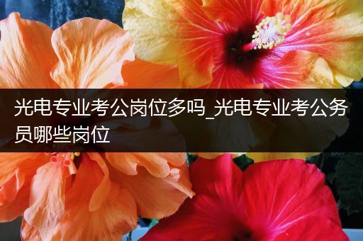 光电专业考公岗位多吗_光电专业考公务员哪些岗位