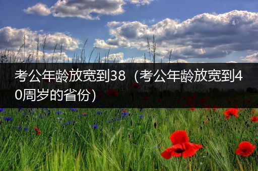 考公年龄放宽到38（考公年龄放宽到40周岁的省份）