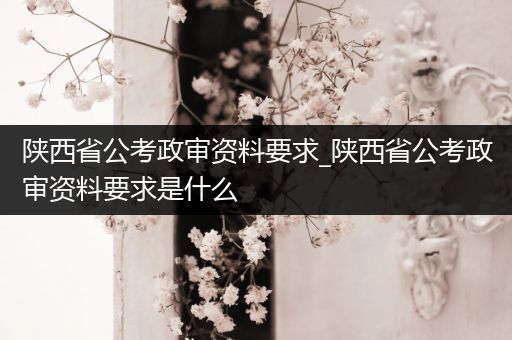 陕西省公考政审资料要求_陕西省公考政审资料要求是什么