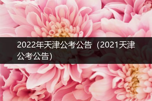 2022年天津公考公告（2021天津公考公告）
