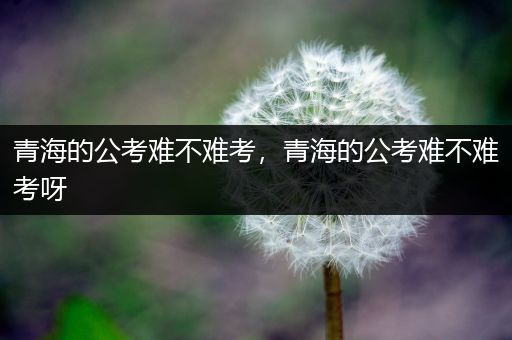 青海的公考难不难考，青海的公考难不难考呀