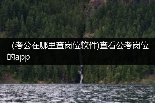 （考公在哪里查岗位软件)查看公考岗位的app