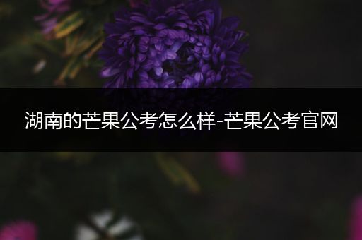 湖南的芒果公考怎么样-芒果公考官网