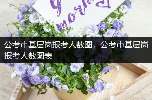 公考市基层岗报考人数图，公考市基层岗报考人数图表