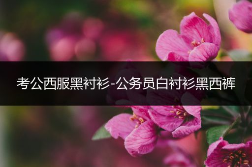考公西服黑衬衫-公务员白衬衫黑西裤