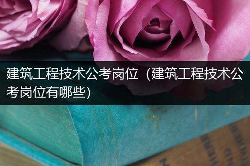 建筑工程技术公考岗位（建筑工程技术公考岗位有哪些）