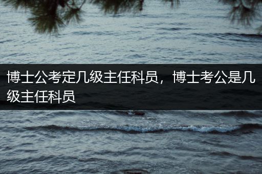 博士公考定几级主任科员，博士考公是几级主任科员