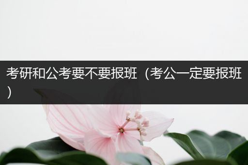 考研和公考要不要报班（考公一定要报班）