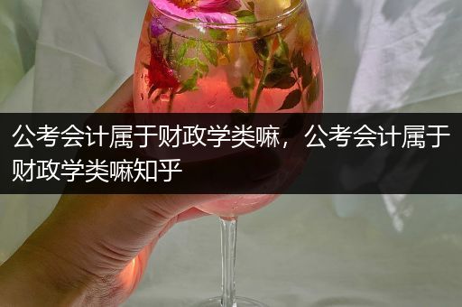 公考会计属于财政学类嘛，公考会计属于财政学类嘛知乎