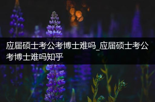 应届硕士考公考博士难吗_应届硕士考公考博士难吗知乎