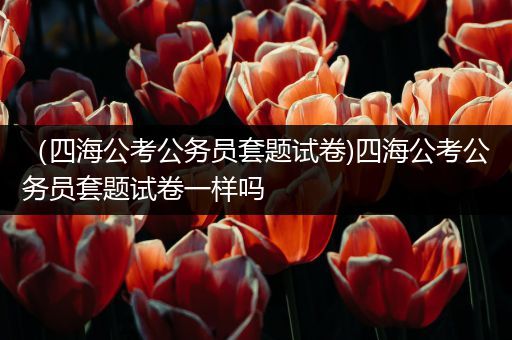 （四海公考公务员套题试卷)四海公考公务员套题试卷一样吗