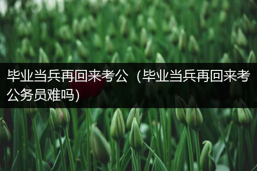 毕业当兵再回来考公（毕业当兵再回来考公务员难吗）