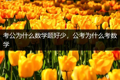 考公为什么数学题好少，公考为什么考数学
