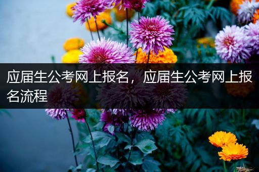 应届生公考网上报名，应届生公考网上报名流程