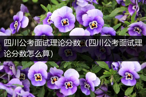 四川公考面试理论分数（四川公考面试理论分数怎么算）
