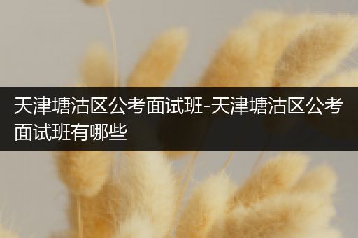 天津塘沽区公考面试班-天津塘沽区公考面试班有哪些