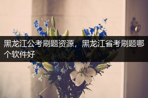 黑龙江公考刷题资源，黑龙江省考刷题哪个软件好