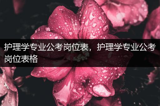 护理学专业公考岗位表，护理学专业公考岗位表格