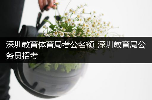 深圳教育体育局考公名额_深圳教育局公务员招考