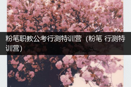 粉笔职教公考行测特训营（粉笔 行测特训营）