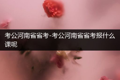 考公河南省省考-考公河南省省考报什么课呢