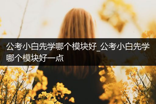 公考小白先学哪个模块好_公考小白先学哪个模块好一点