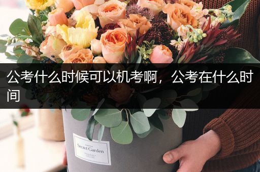 公考什么时候可以机考啊，公考在什么时间
