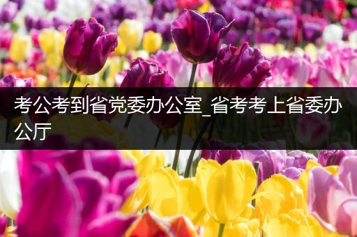 考公考到省党委办公室_省考考上省委办公厅