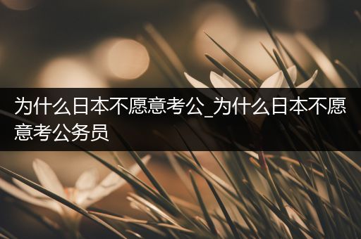 为什么日本不愿意考公_为什么日本不愿意考公务员