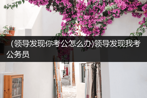 （领导发现你考公怎么办)领导发现我考公务员