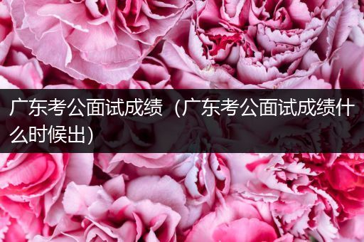 广东考公面试成绩（广东考公面试成绩什么时候出）
